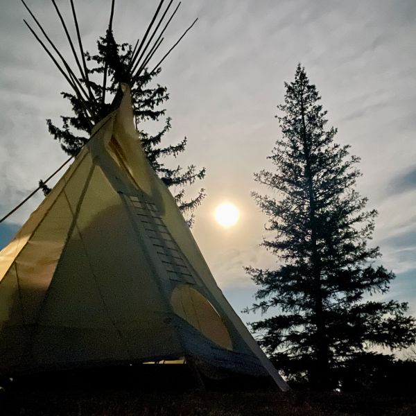 Large white tipi in foreground with pine tree and full moon in the background on dusk.