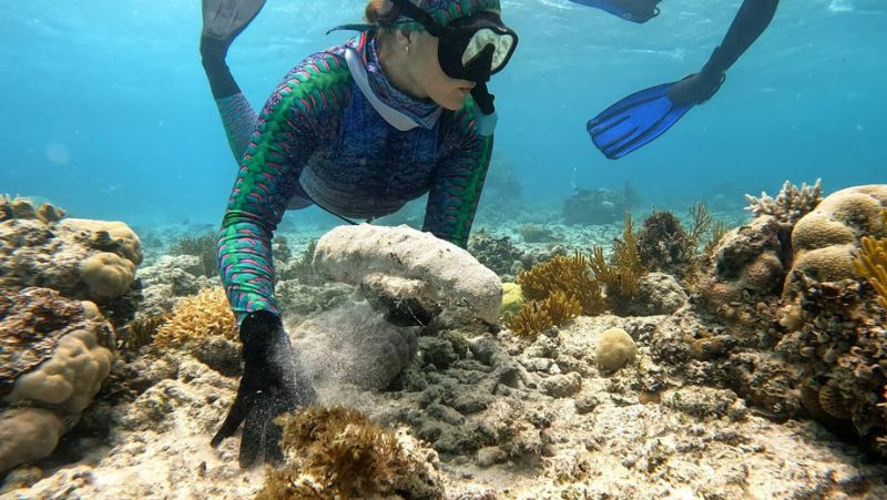 Kristen in a colorful wetsuit snorkeling near a coral reef, interacting with a marine environment under clear water.