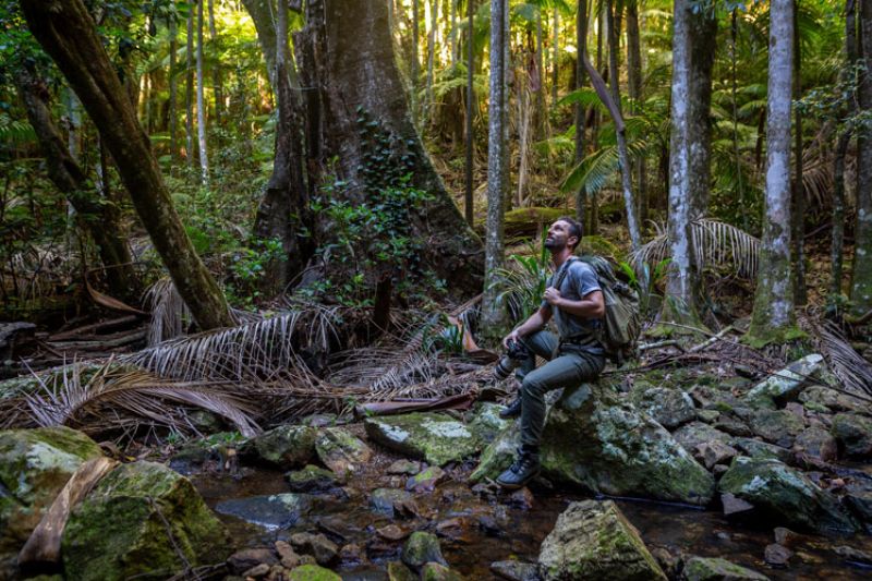 Sonny sitting on a rock in a dense forest, looking upwards, surrounded by lush greenery and fallen leaves.