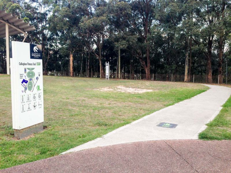Outdoor gym