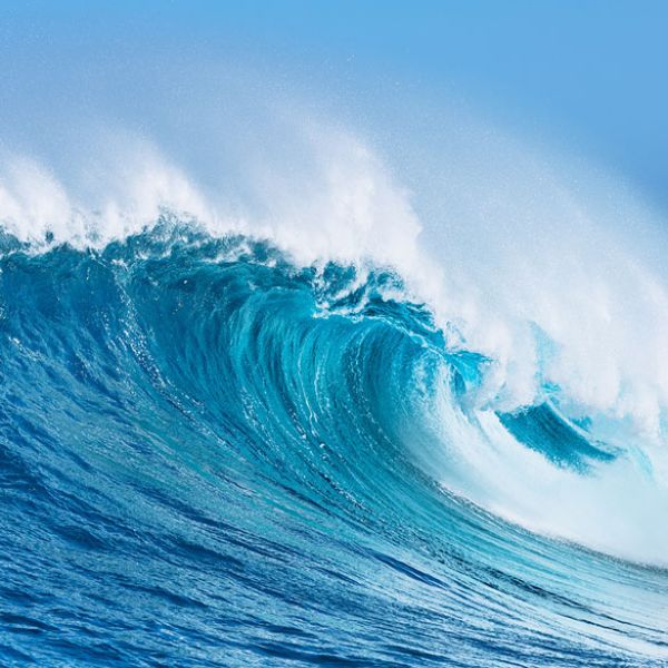 A powerful blue ocean wave curls and crashes under a clear sky.