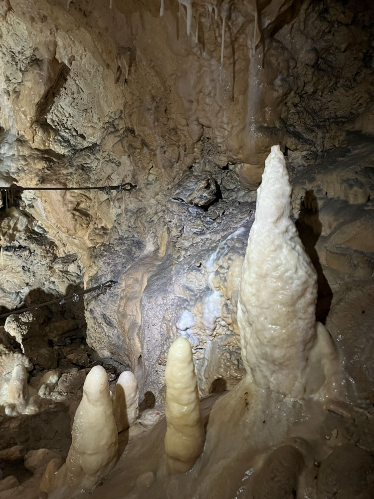 Cream and white stalagmites rise from the floor of a limestone cave, surrounded by textured rock formations and hanging stalactites.
