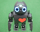 Companion robot