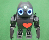 Companion robot. Companion Robot Technology.