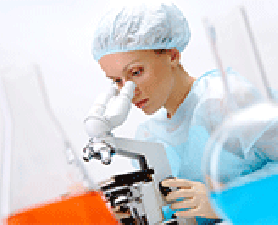 Gender equality. Employer of Choice for Gender Equality 