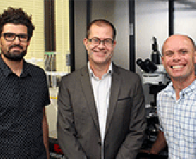 microscope. Microscope to shed light on mental health