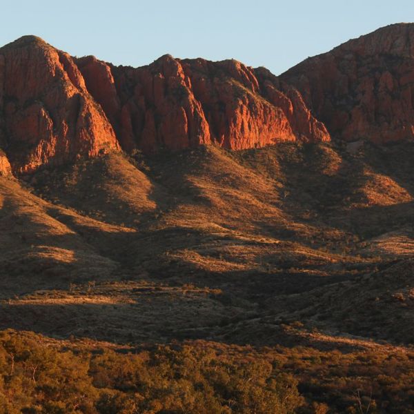 Larapinta Trail. News from the Larapinta Trail.