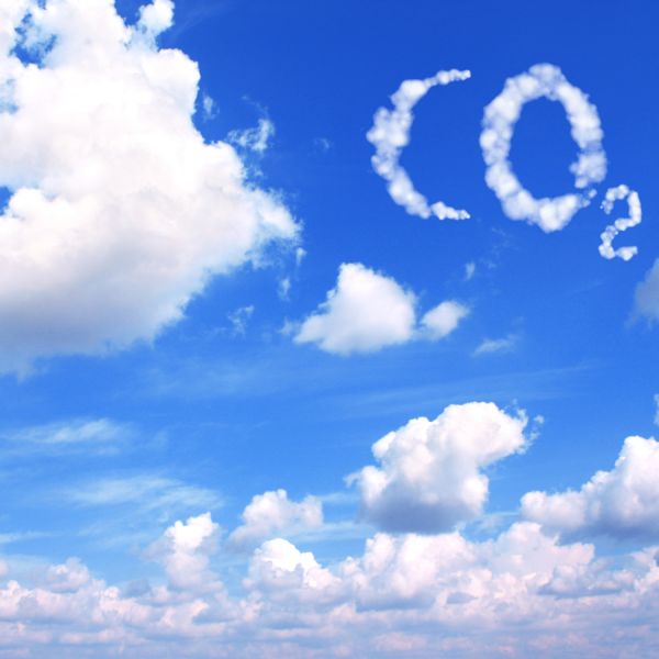 carbon. Accelerated carbonation experts convene in Newcastle