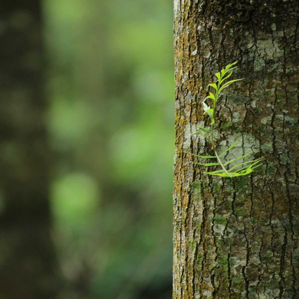 . Prioritising our planet