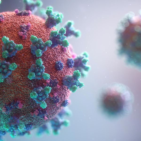 Virus molecule. COVID Safe check-in on our campuses