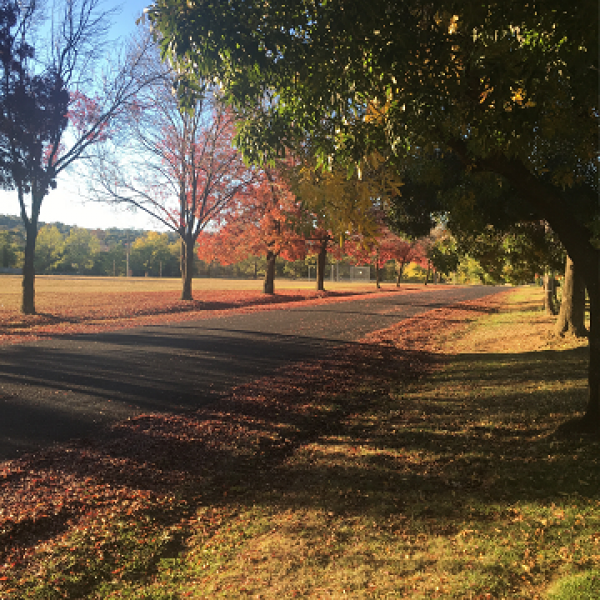 Armidale Scenic Road
