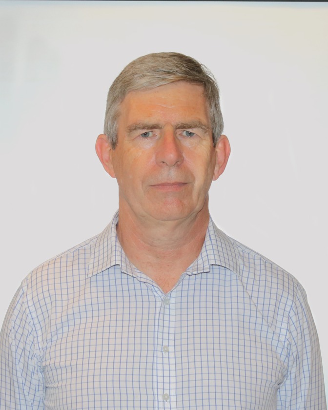 Professor David Perkins