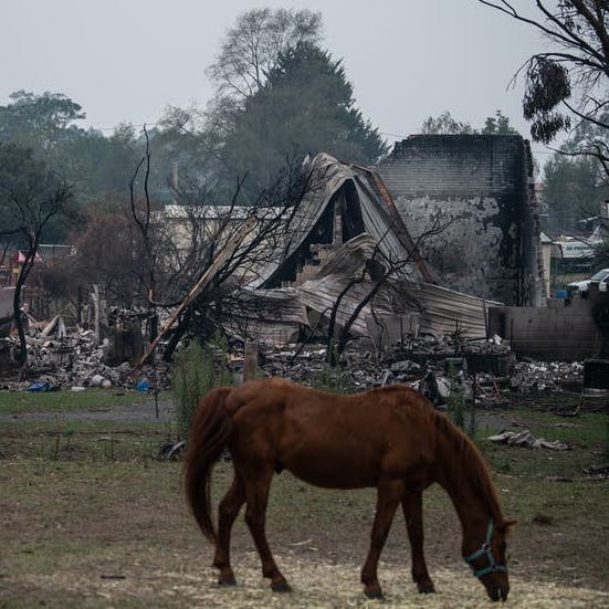 90% of buildings in bushfire-prone areas aren’t built to survive fires. A national policy can start to fix this