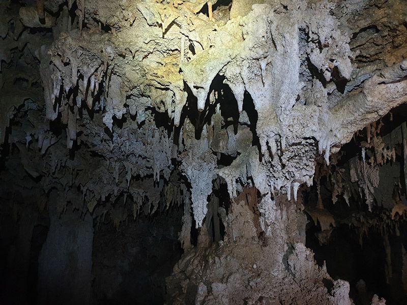 Stalactites in a cave