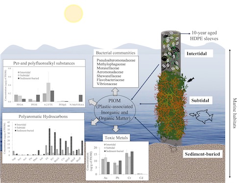 A decade old plastic, what's on it?