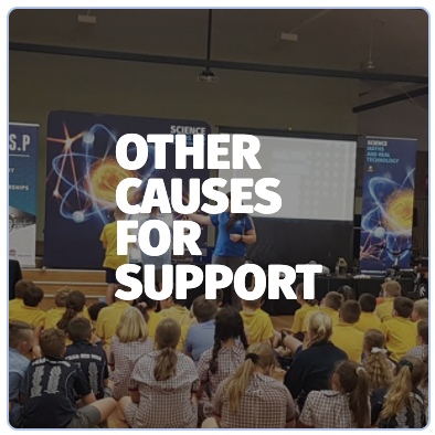 Image of 'Other Causes for Support' button