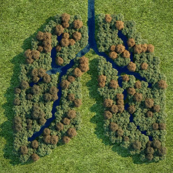 Climate change action. International Women's Day - Celebrating our climate change-makers