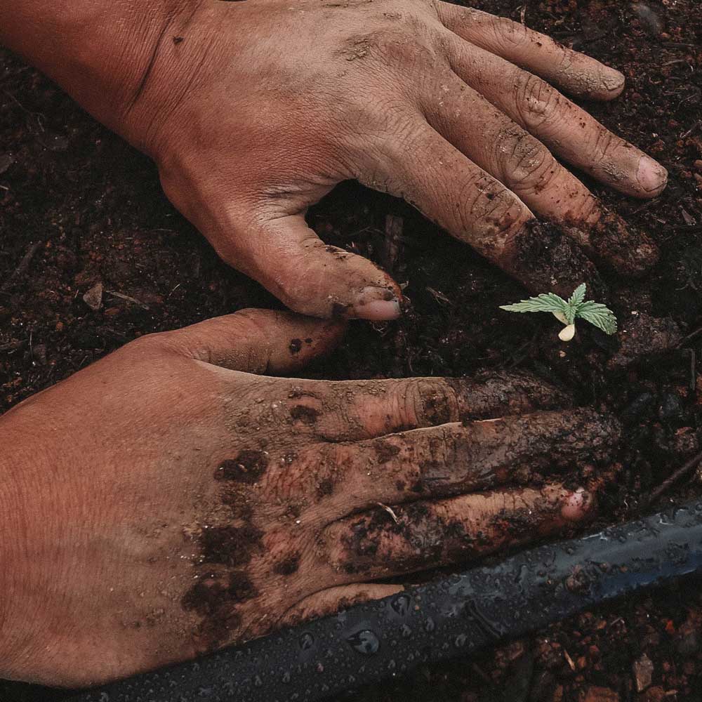 Drought Resilience Innovation Grants