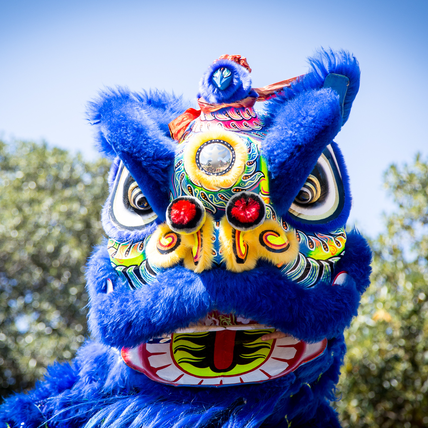 Tradition and Custom