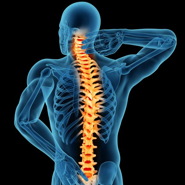 Spinal cord research. Spinal cord pain to PTSD: $5.2m in NHMRC grants to target pressing medical conditions 