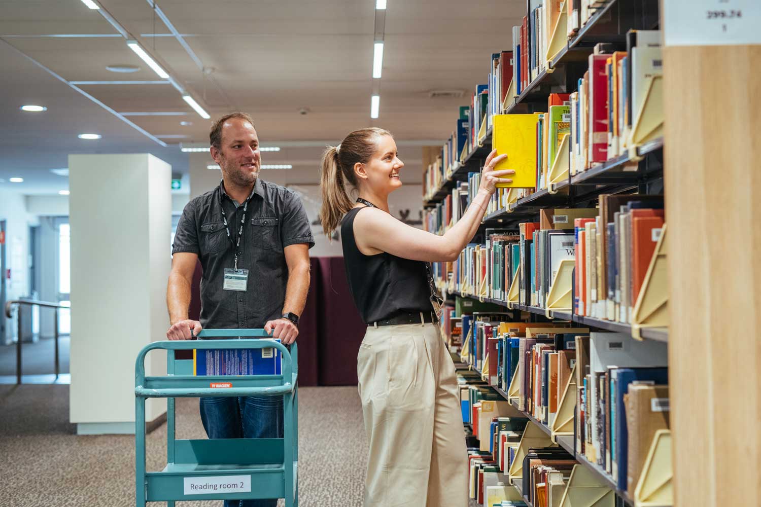 Image of library staff placing books away.