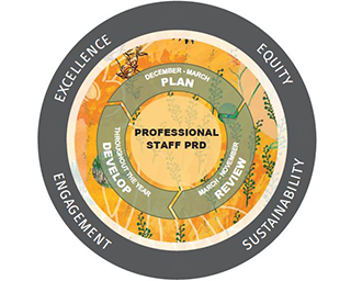 Framework for Professional Staff