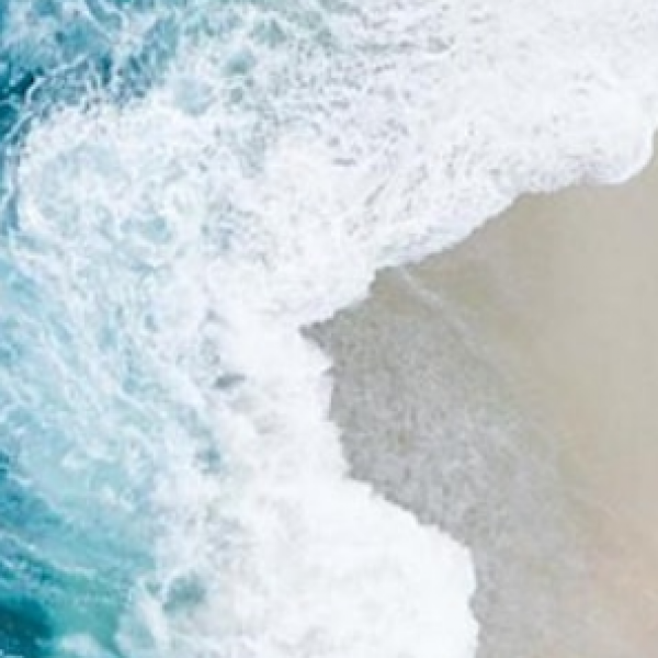 Sir Ninian Lecture event tile