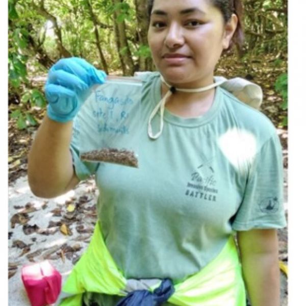 15.2.5 PhD Student . Student returns from fieldwork investigating success of rat eradication efforts in Tonga 