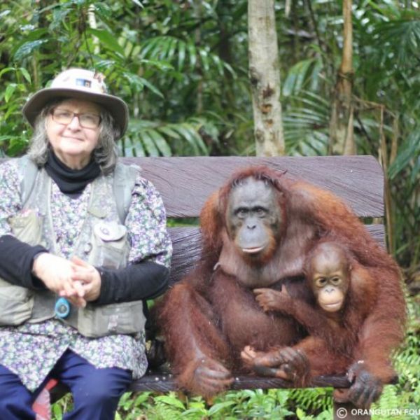 Dr Galdikas sitting on a bench with Orangutans