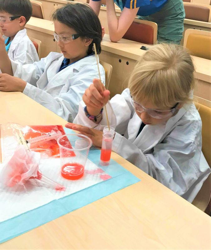 Student extracting DNA from strawberry