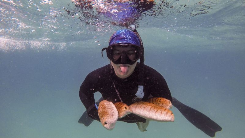 Kristen snorkeling underwater with fish.