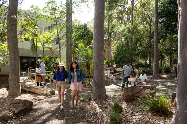 Newcastle (Callaghan)