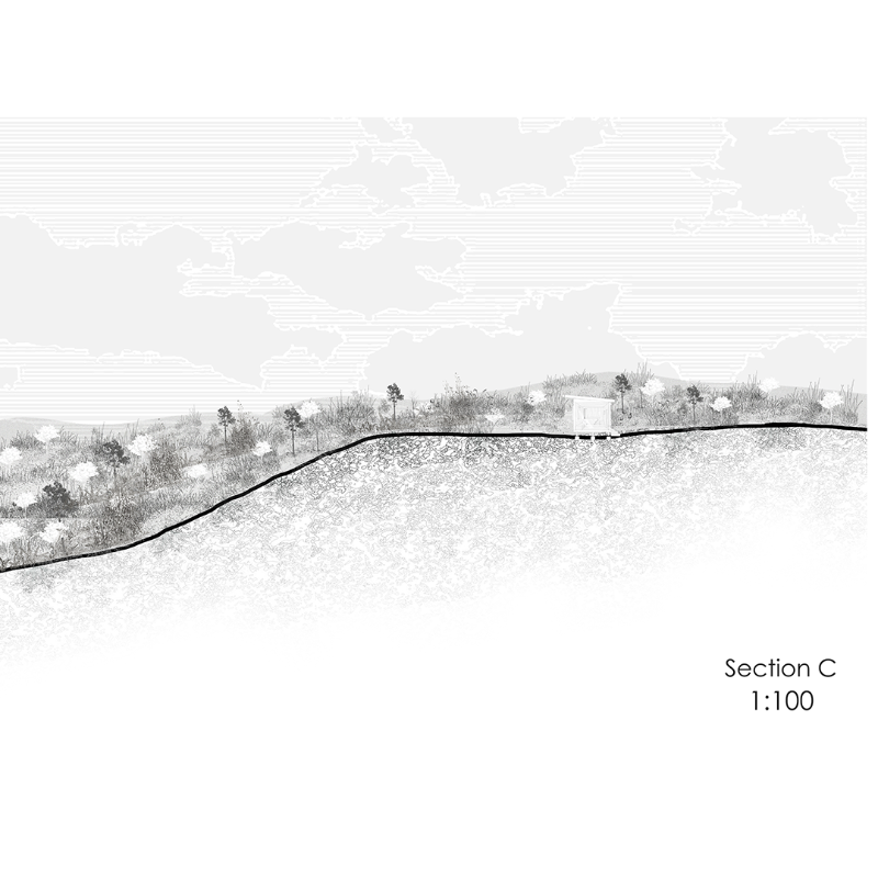 Section 3 