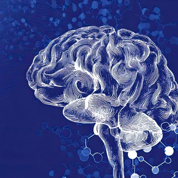 Newcastle Cognitive Science