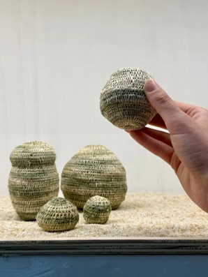 Gathering - Sarah Duncan | Master of Architecture University of Newcastle