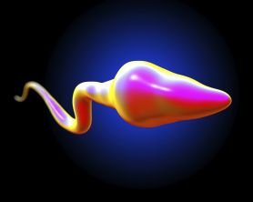 . Smoking and male fertility breakthrough finding 