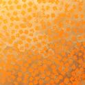 Painting 'Golden Orange' by Paul Munro