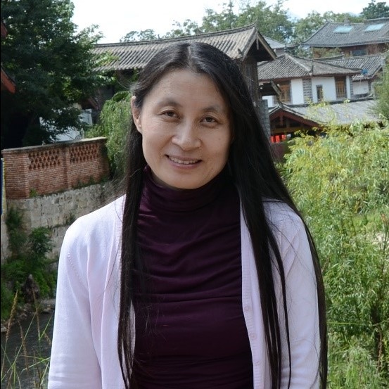 Prof. Yan Li