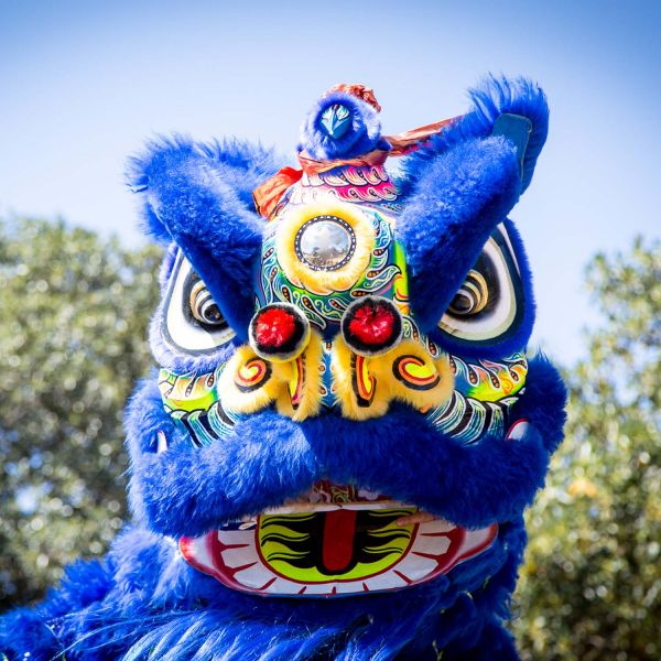 China Week commences