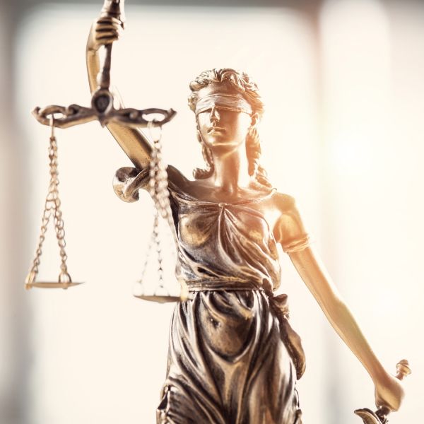 . First-of-its-kind resource aids legal practitioners in identifying elder abuse