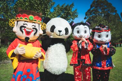 Chinese Costumes Chinese Costumes