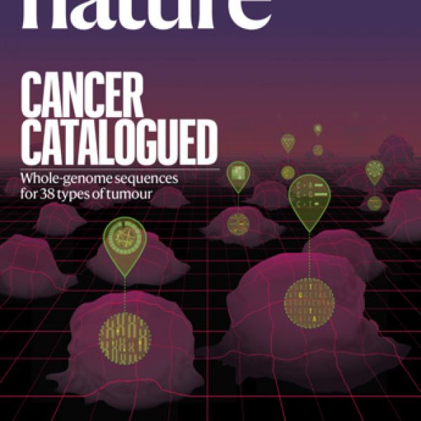 Cover of Nature magazine, where the findings were published. 