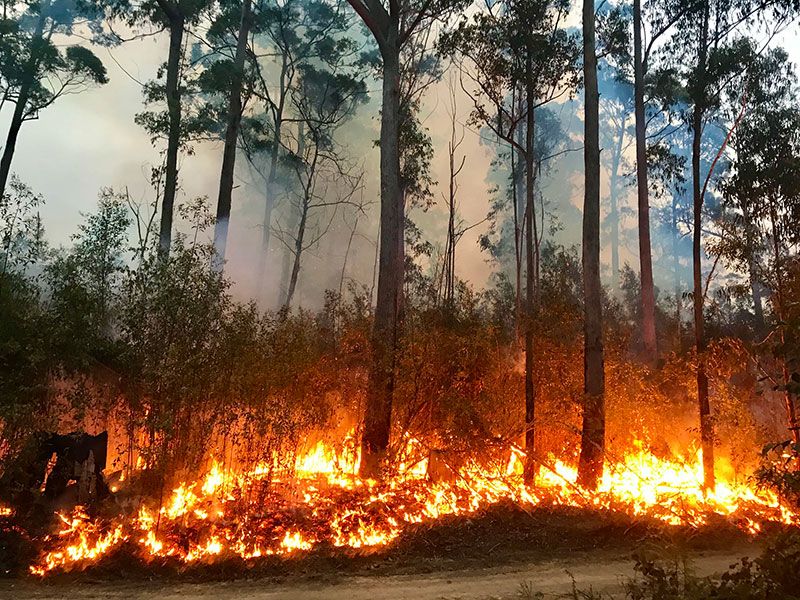 NSW bushfires.