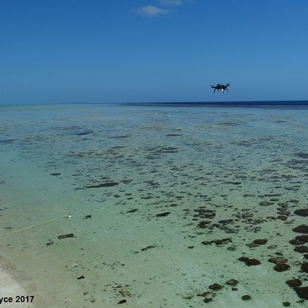 Drone over Heron Reef