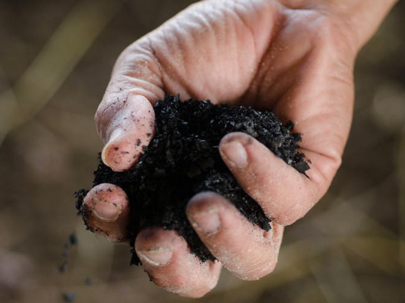Close up of hand holding biochar byproduct to enhance soil