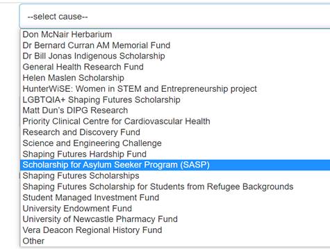 Picture of dropdown box options
