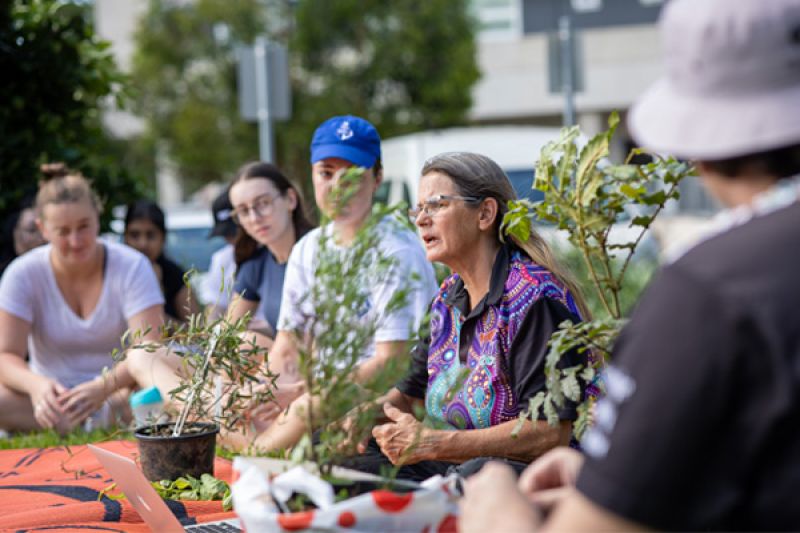 First Nations Bush Tucker Garden Tutorial