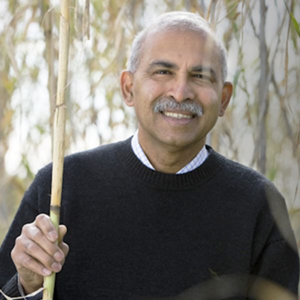 . Australian Scientist to head bid to clean up the world's soils