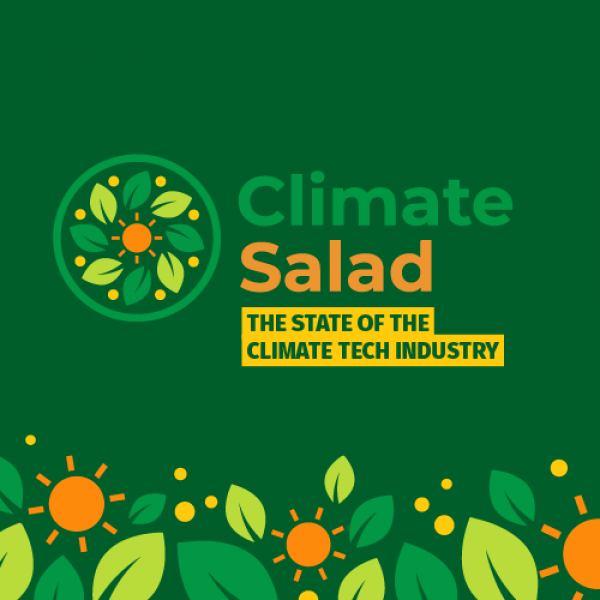 Climate Salad: The State of Climate Tech Industry