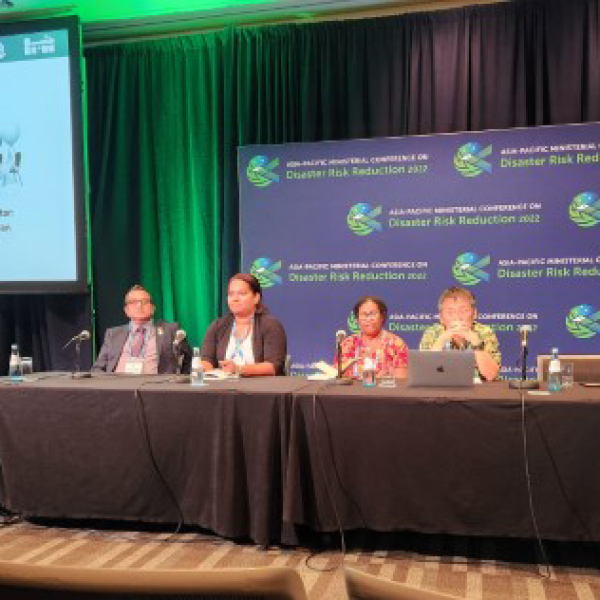 Associate Professor Iftekhar Ahmed on the panel. Associate Professor Iftekhar Ahmed presents at the Asia Pacific Ministerial Conference on Disaster Risk Reduction